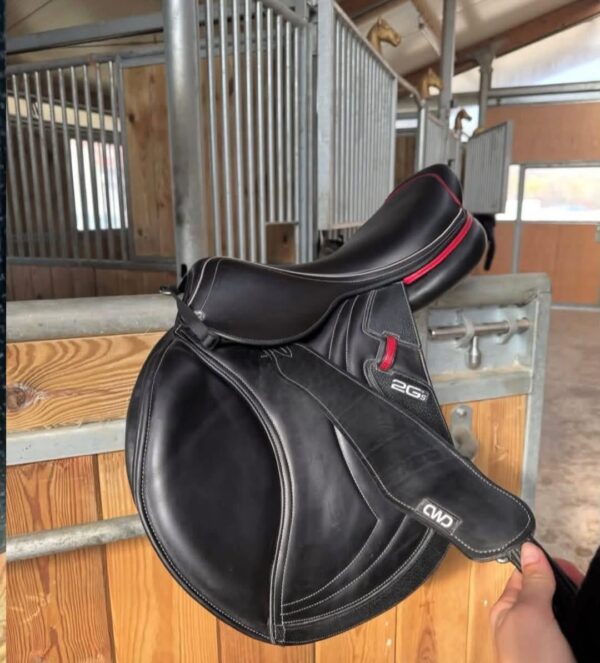 SnapInsta.to_653874191_17981899214993349_8653489524542204674_n (1) CWD 2GS Mademoiselle Saddle
