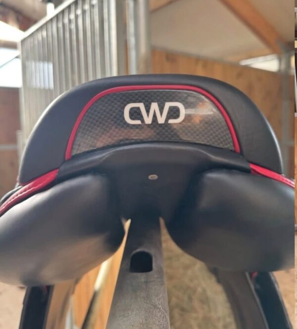 SnapInsta.to_654471343_17981899202993349_5291666276263257663_n CWD 2GS Mademoiselle Saddle