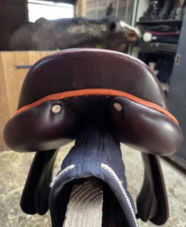 SnapInsta.to_654476148_17981898716993349_430875454689049462_n 2021 Antarès saddle For Sale