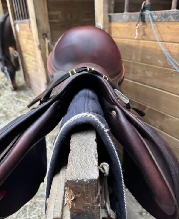 SnapInsta.to_654511509_17981898755993349_968205437695566488_n 2021 Antarès saddle For Sale
