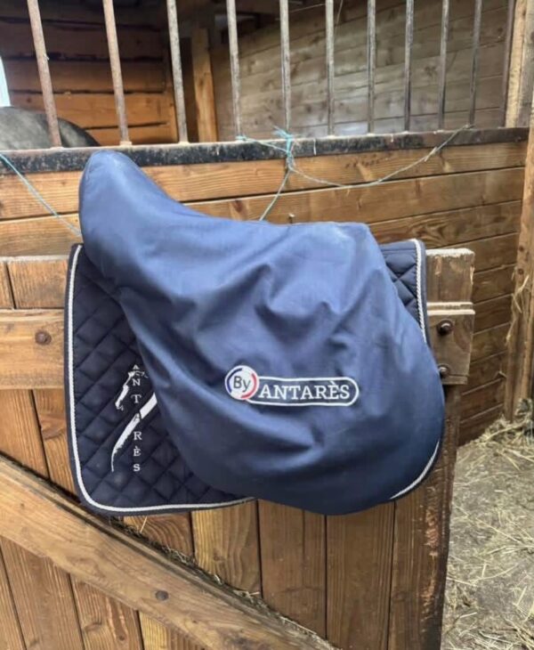 SnapInsta.to_654885633_17981898734993349_4482097232998168159_n 2021 Antarès saddle For Sale