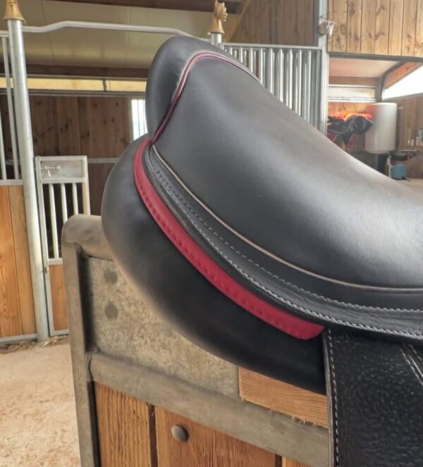 SnapInsta.to_654955403_17981899217993349_5718874392472881445_n CWD 2GS Mademoiselle Saddle