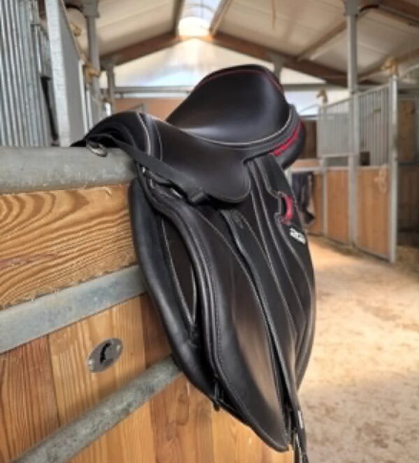 SnapInsta.to_655223902_17981899211993349_2351579202165475225_n CWD 2GS Mademoiselle Saddle