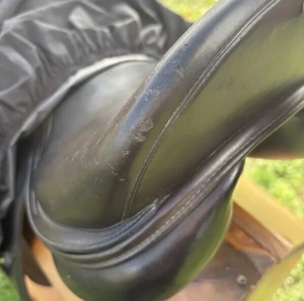 SnapInsta.to_655292919_17982733178993349_7305879497153141821_n Amerigo Classic dressage saddle
