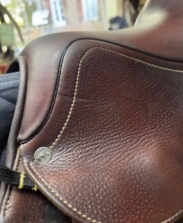 SnapInsta.to_655362670_17981898725993349_4697017810917159787_n 2021 Antarès saddle For Sale