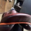 SnapInsta.to_656095665_17981898695993349_2403928564728222561_n 2021 Antarès saddle For Sale