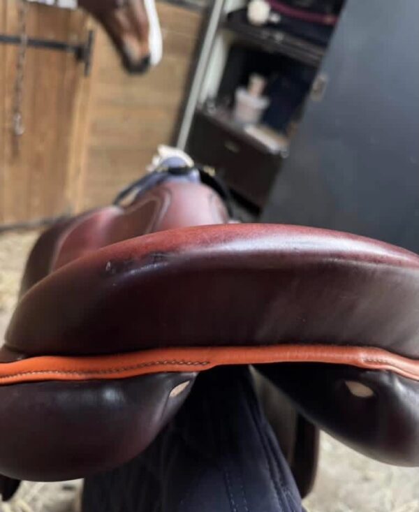 SnapInsta.to_656095665_17981898695993349_2403928564728222561_n 2021 Antarès saddle For Sale