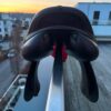 SnapInsta.to_656852417_17982732107993349_5682706485329601849_n Selleria Equipe Allegra jumping saddle