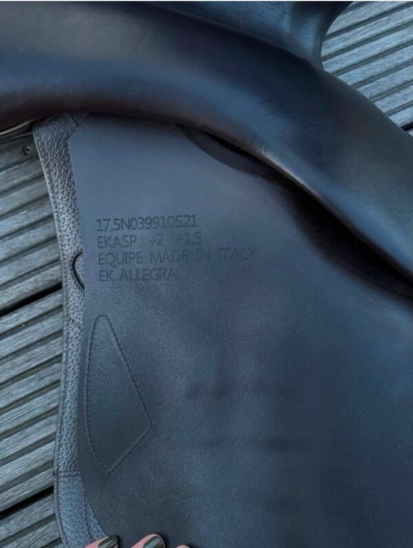 SnapInsta.to_656944210_17982732158993349_6036965403827033183_n Selleria Equipe Allegra jumping saddle