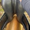 SnapInsta.to_657240349_17982733202993349_8469164657195515774_n Amerigo Classic dressage saddle