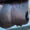SnapInsta.to_657358001_17982732179993349_2576535389847796176_n Selleria Equipe Allegra jumping saddle