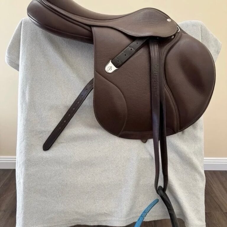 SnapInsta