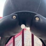 Dressage Saddle for sale online