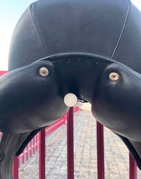 Dressage Saddle for sale online