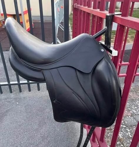 ANTARES Cadence Dressage Saddle