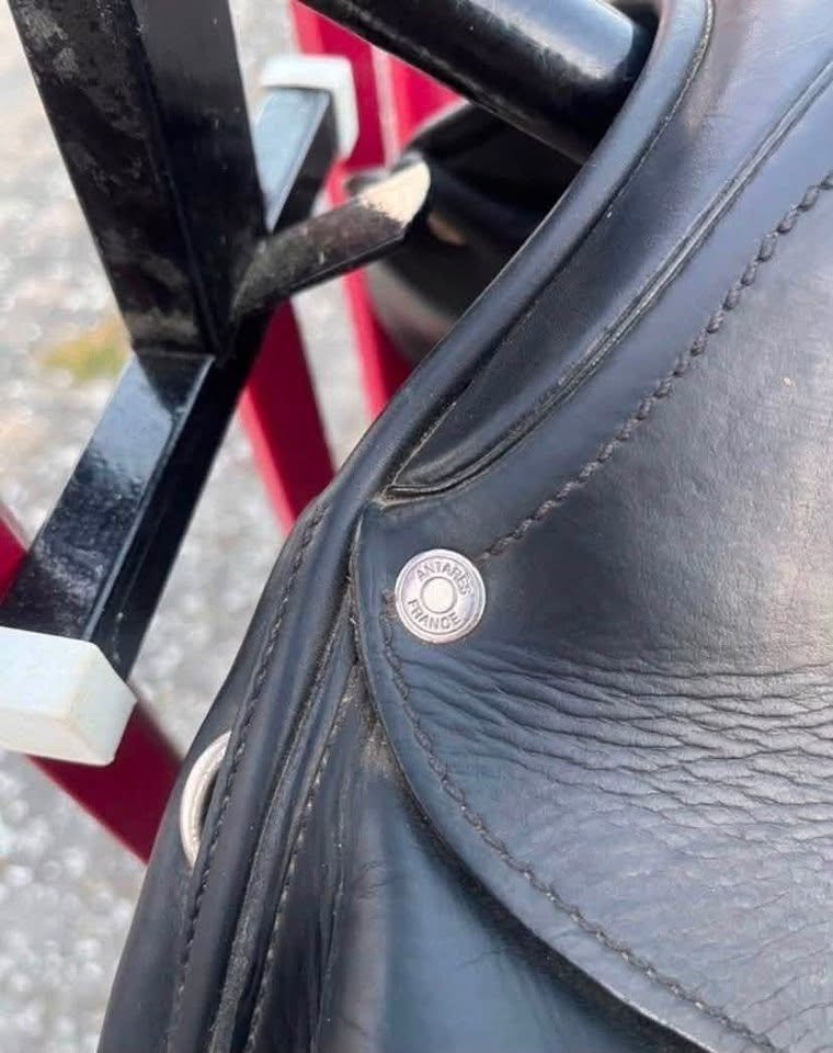 ANTARES Cadence Dressage Saddle 17" – Made in France