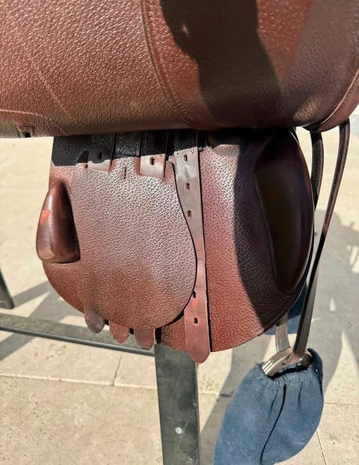 Amerigo DJ Jumping Saddle