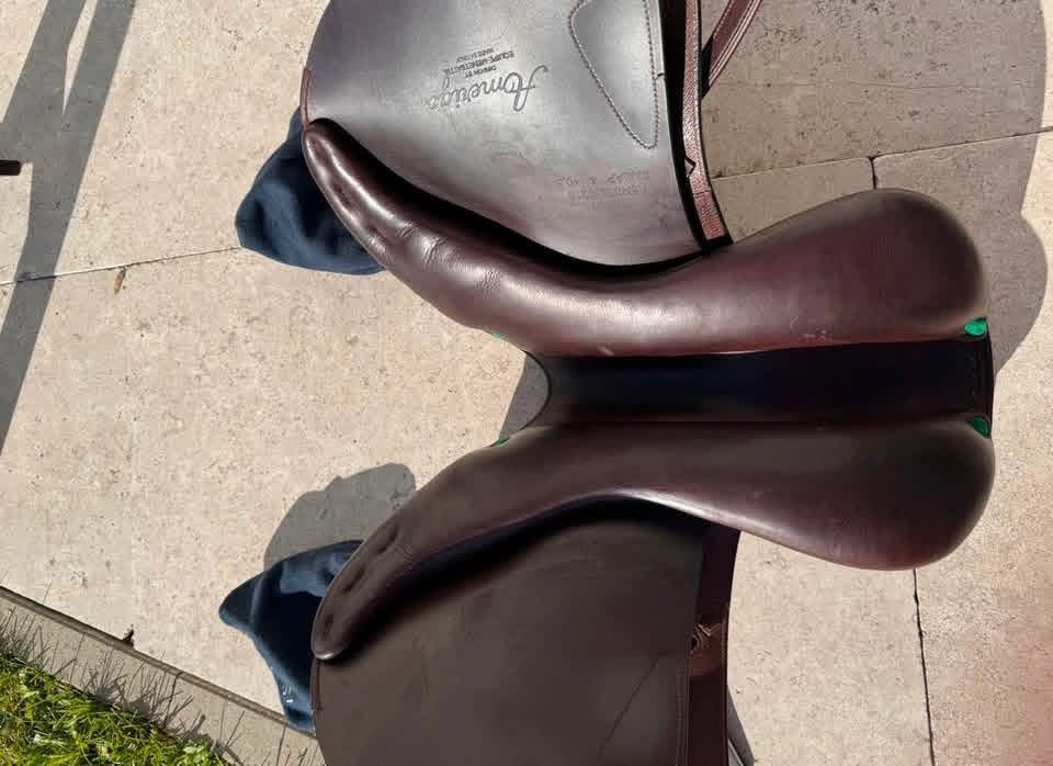 Amerigo DJ Jumping Saddle