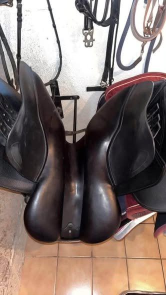 CWD 2GS Mademoiselle Saddle For Sale Online