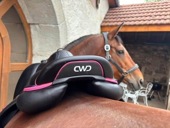 CWD 2GS Mademoiselle Saddle For Sale Online