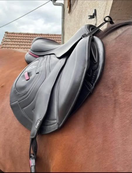 CWD 2GS Mademoiselle Saddle For Sale Online