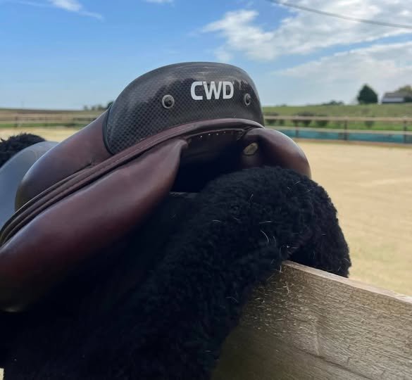 CWD 2GS SE25 Saddle – 17” – Dark Brown For Sale Online