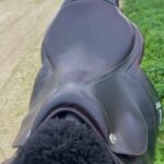 buy CWD 2GS SE25 Saddle for sale online