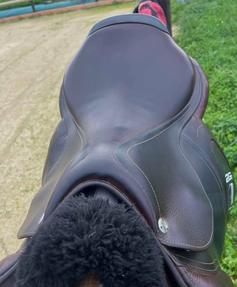 buy CWD 2GS SE25 Saddle for sale online