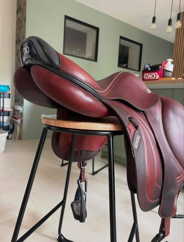 Limited Edition Saddles for sale online