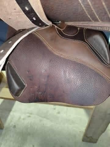 Ikonic Evolution Jumping Saddle – JEV04 (2025) – 16.5