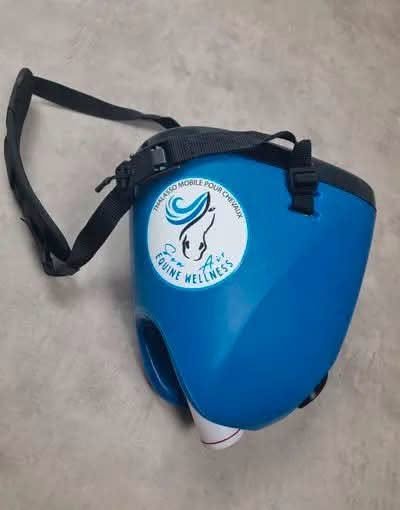 Portable Horse Nebulizer – Equine Respiratory Care