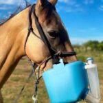 Portable Horse Nebulizer – Equine Respiratory Care