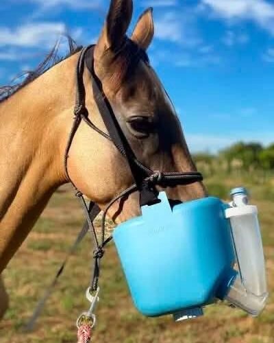 Portable Horse Nebulizer – Equine Respiratory Care