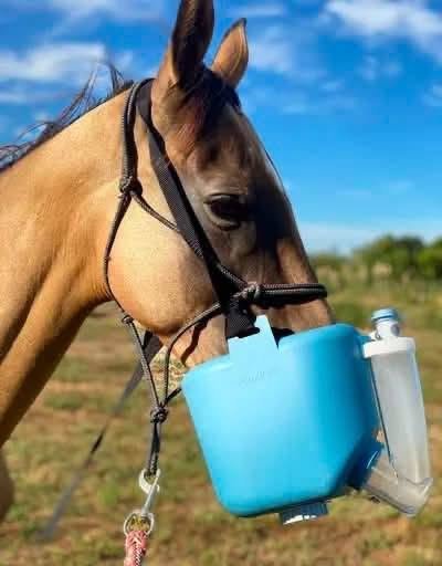 Portable Horse Nebulizer – Equine Respiratory Care