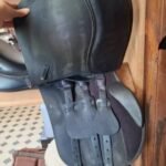 Wintec 500 Cair Hart