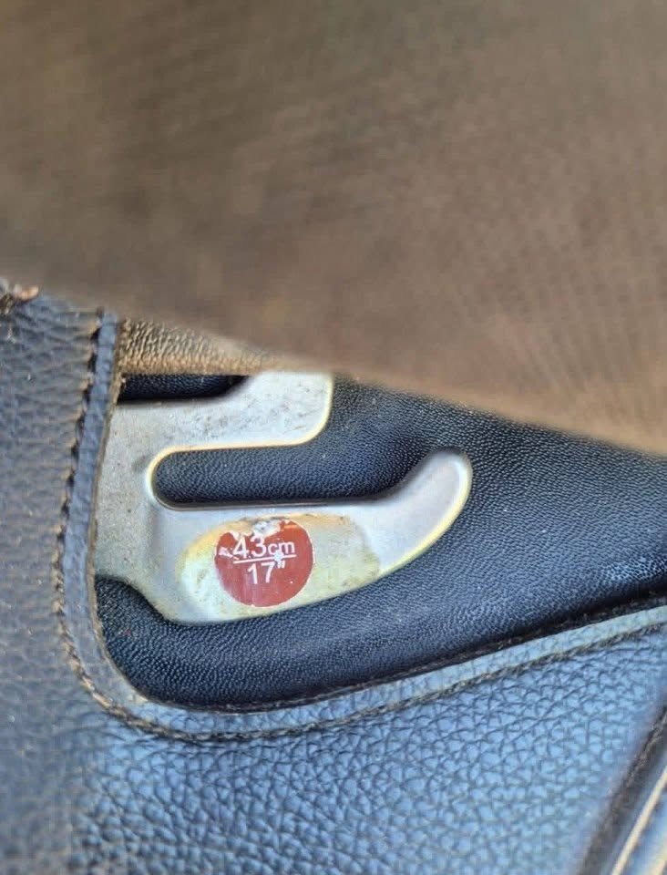 Wintec 500 Hart Dressage Saddle For Sale Online