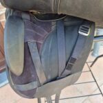 buy Wintec 500 Hart Dressage Saddle for sale