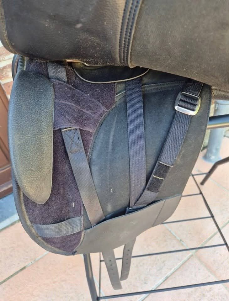 buy Wintec 500 Hart Dressage Saddle for sale